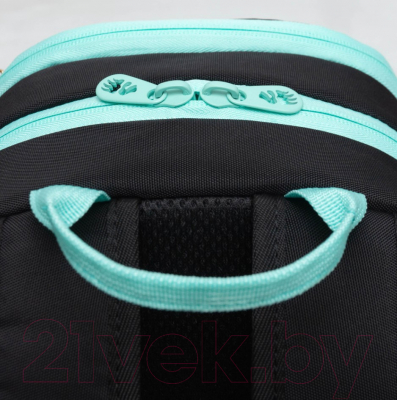 Школьный рюкзак Grizzly RG-463-1