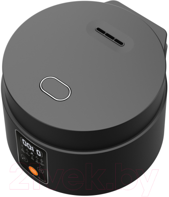 Мультиварка Garlyn MR-Solo 3