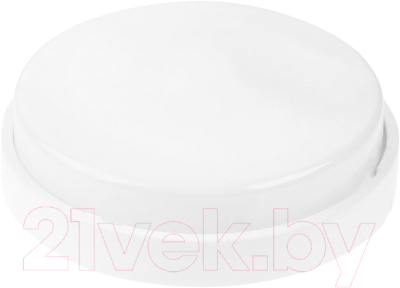 Светильник ЖКХ Юпитер JP1310-04 - фото