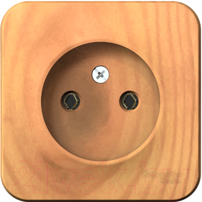 Розетка Schneider Electric Blanca BLNRA000115 - фото