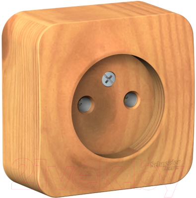 Розетка Schneider Electric Blanca BLNRA000115