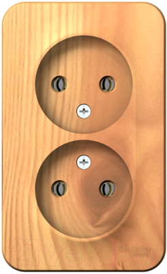 Розетка Schneider Electric Blanca BLNRA000215 - фото