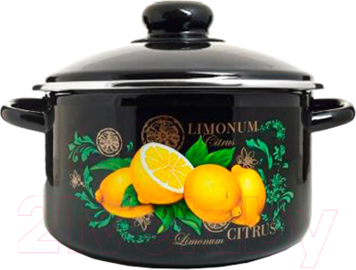 Кастрюля ЭСТЕТ Цитрус / ЭТ-75016/4 - фото