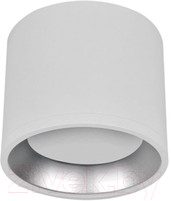 Точечный светильник INhome НПБ Цилиндр GX53-CH/WH / 4690612046563 - фото