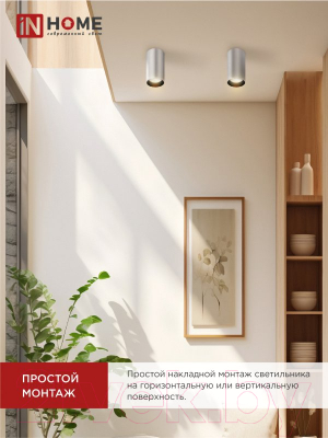 Точечный светильник INhome НПБ Цилиндр-GU10-CH / 4690612046464