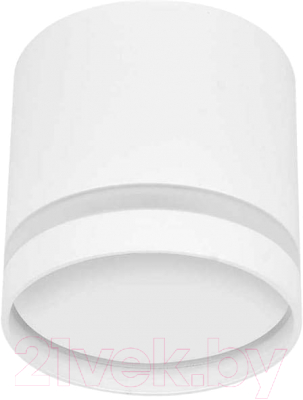 Точечный светильник INhome НПБ Цилиндр-GX53-NL-WH / 4690612046532 - фото