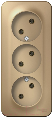 Розетка Schneider Electric Blanca BLNRA000314 - фото