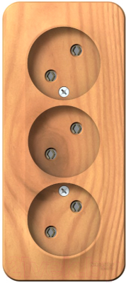 Розетка Systeme (Schneider) Electric Blanca BLNRA000315 - фото