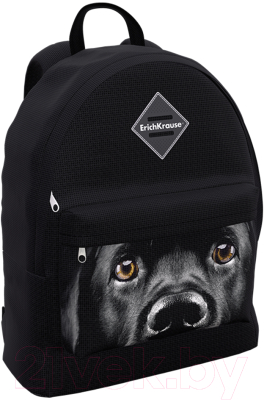 Школьный рюкзак Erich Krause EasyLine 17L Black Dog / 60324 - фото