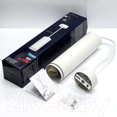 Потолочный светильник Truenergy 21322