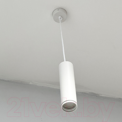 Потолочный светильник Truenergy 21322