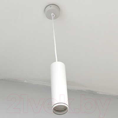 Потолочный светильник Truenergy 21322