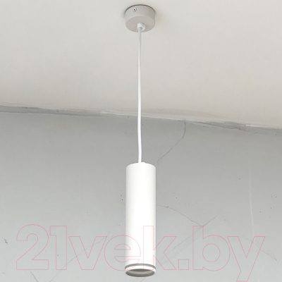 Потолочный светильник Truenergy 21322