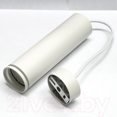 Потолочный светильник Truenergy 21322