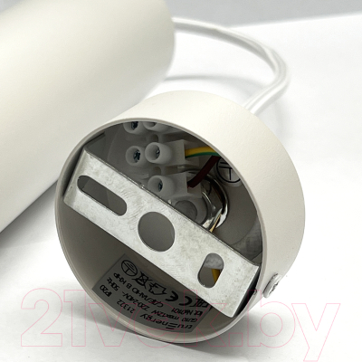 Потолочный светильник Truenergy 21322