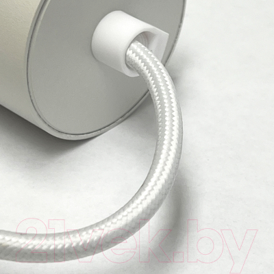 Потолочный светильник Truenergy 21322