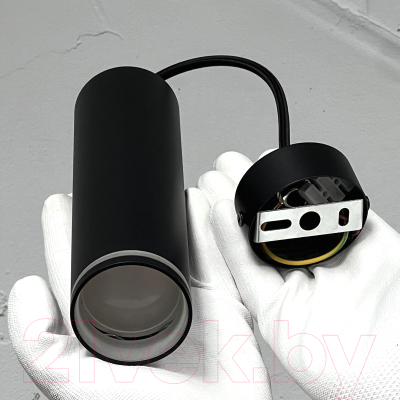 Потолочный светильник Truenergy 21323