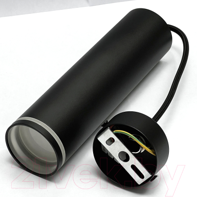 Потолочный светильник Truenergy 21323