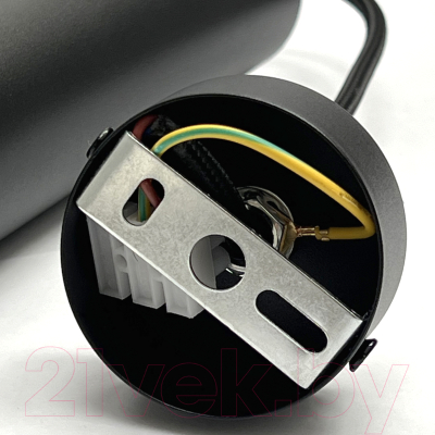 Потолочный светильник Truenergy 21323