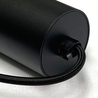 Потолочный светильник Truenergy 21323