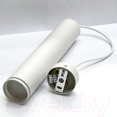 Потолочный светильник Truenergy 21324