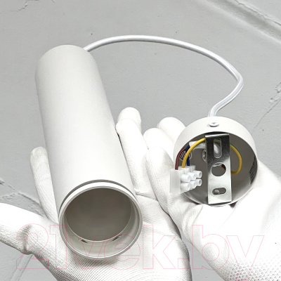 Потолочный светильник Truenergy 21324