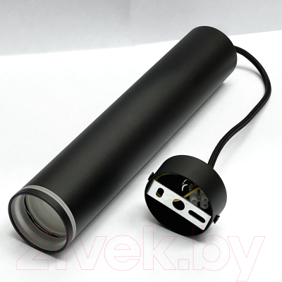 Потолочный светильник Truenergy 21325