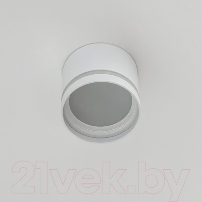 Точечный светильник Truenergy 21015