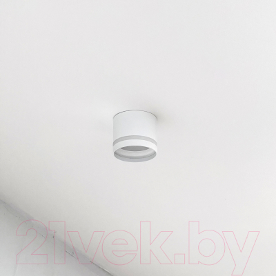 Точечный светильник Truenergy 21015