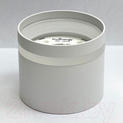 Точечный светильник Truenergy 21015