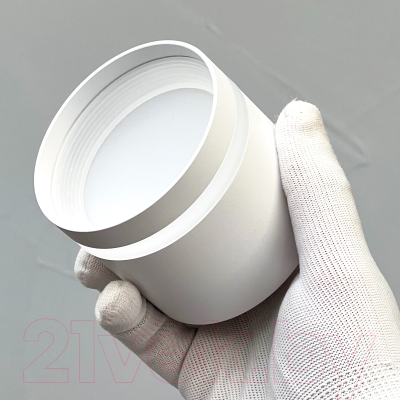 Точечный светильник Truenergy 21015