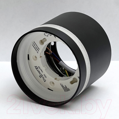 Точечный светильник Truenergy 21016