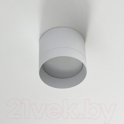 Точечный светильник Truenergy 21025