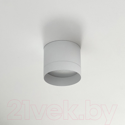 Точечный светильник Truenergy 21025