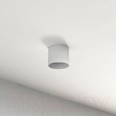 Точечный светильник Truenergy 21025