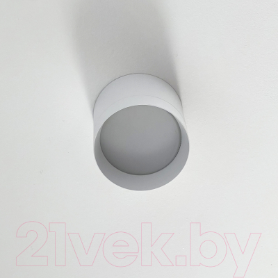 Точечный светильник Truenergy 21025