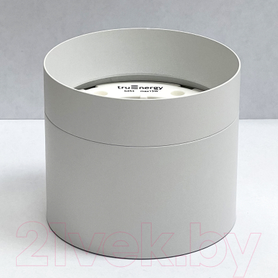 Точечный светильник Truenergy 21025