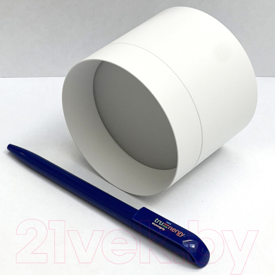 Точечный светильник Truenergy 21025