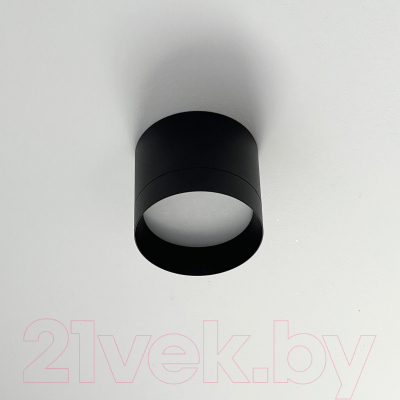 Точечный светильник Truenergy 21026