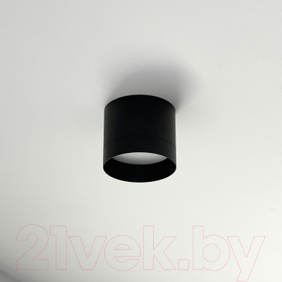 Точечный светильник Truenergy 21026