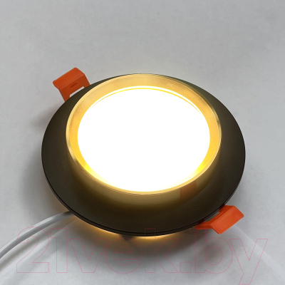 Точечный светильник Truenergy 21237