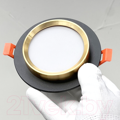 Точечный светильник Truenergy 21237