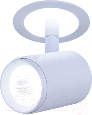 Спот Elektrostandard DSR002 9W 6500K - фото