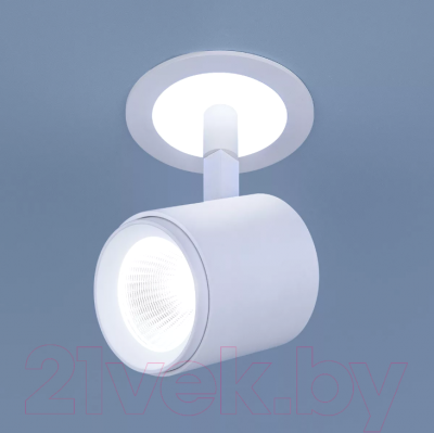 Спот Elektrostandard DSR002 9W 6500K