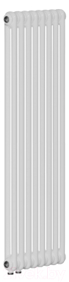 Радиатор стальной Rifar Tubog 2180-08-D1 (нижнее подключение, белый RAL 9016)
