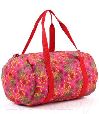 Спортивная сумка Медведково 23с0753-к14