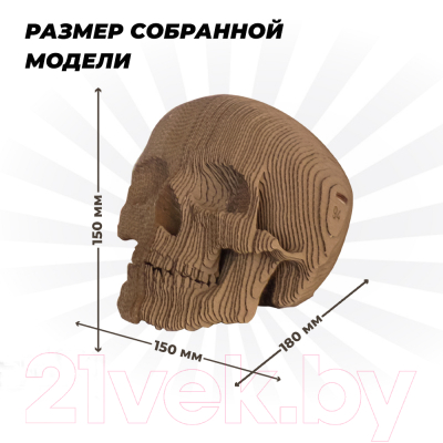 Конструктор QBRIX Череп