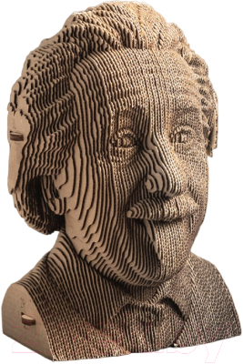 Конструктор QBRIX Эйнштейн - фото