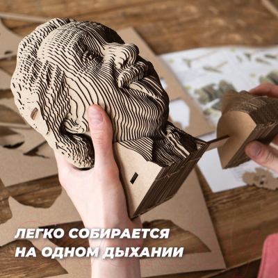 Конструктор QBRIX Эйнштейн