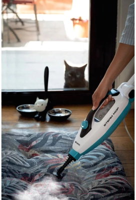 Пароочиститель Ariete 4175